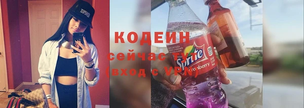 спиды Арсеньев