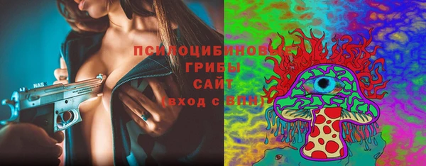 МДПВ Аркадак