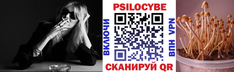 даркнет сайт Калач Псилоцибиновые грибы Magic Shrooms